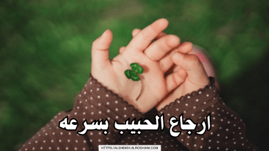 ارجاع الحبيب بسرعه