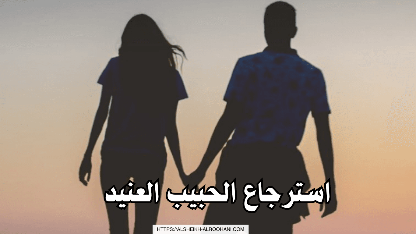 استرجاع الحبيب العنيد