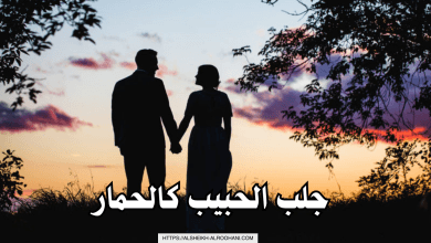 جلب الحبيب كالحمار