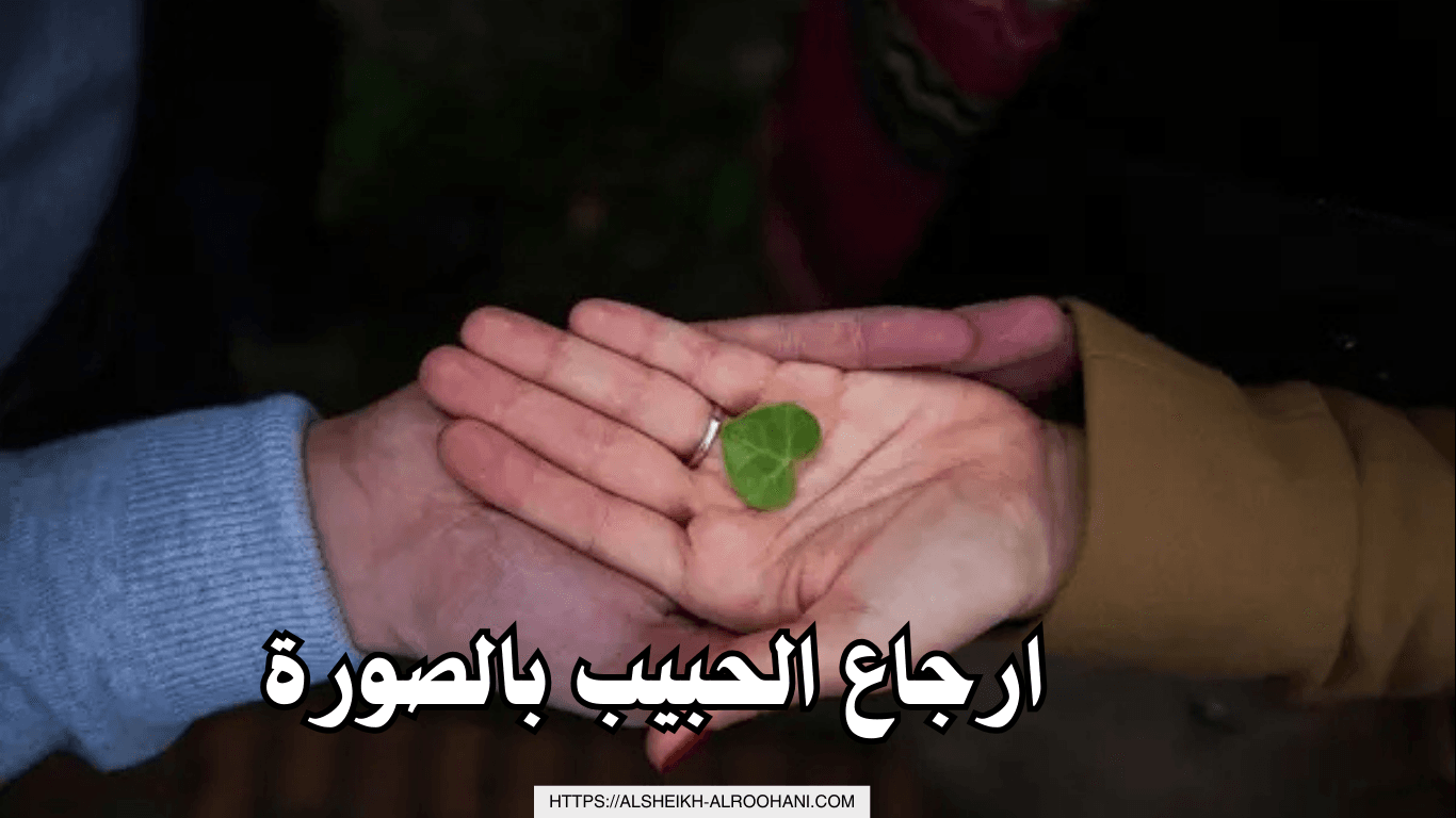 ارجاع الحبيب بالصورة