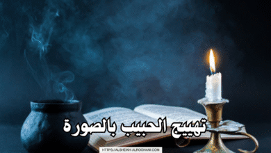 تهييج الحبيب بالصورة